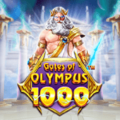2899a Cổng Olympus 1000